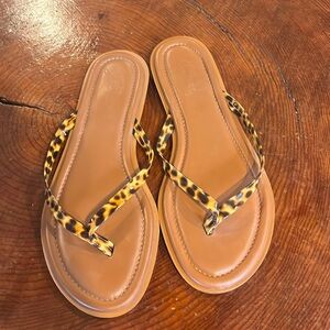 J Crew tortoise flip flops
